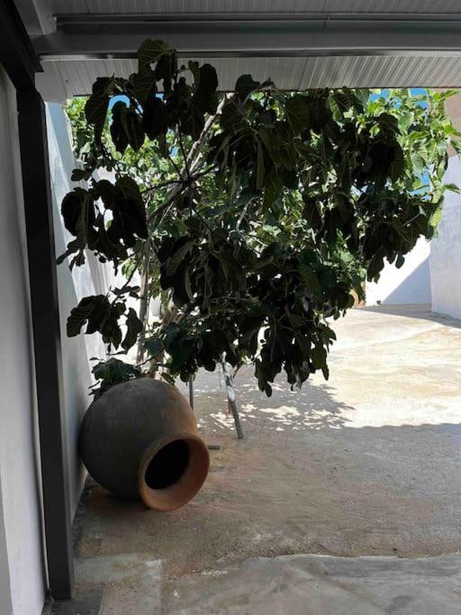 Agradable Casa Con Chimenea Interior Y Barbacoa. Villa Graja de Iniesta Bagian luar foto